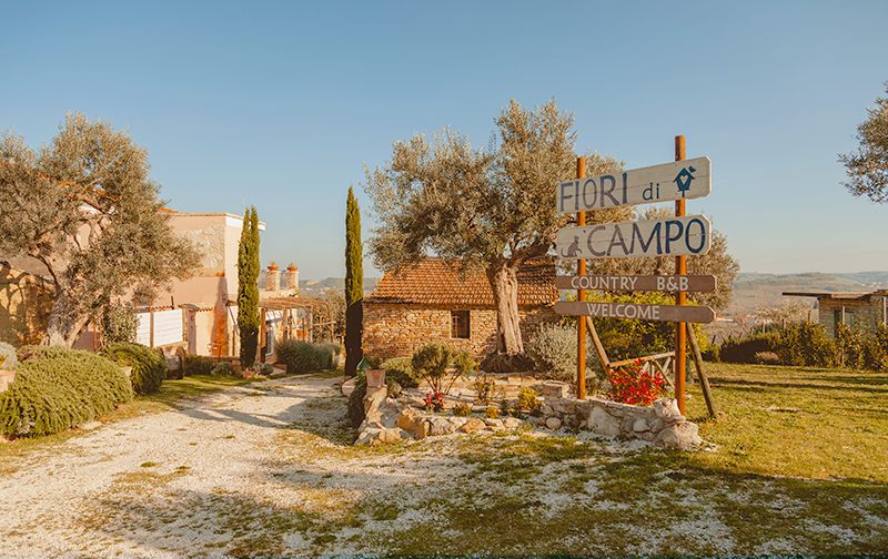 La comodità prima di tutto